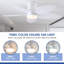 Ventilateur de plafond de 42 pouces avec lumière et télécommande / commande APP-147754699
