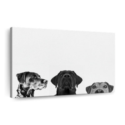 Adorable Puppies Canvas Print
