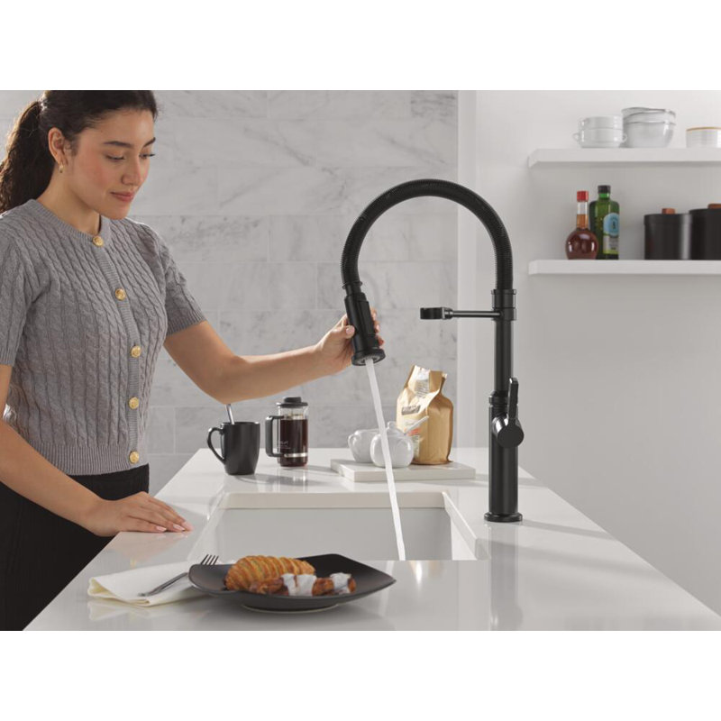 Robinet de cuisine Rhett Pro, Noir mat