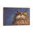 Pixie by Kim Haskins - Print on Canvas-1206608657-1206608656