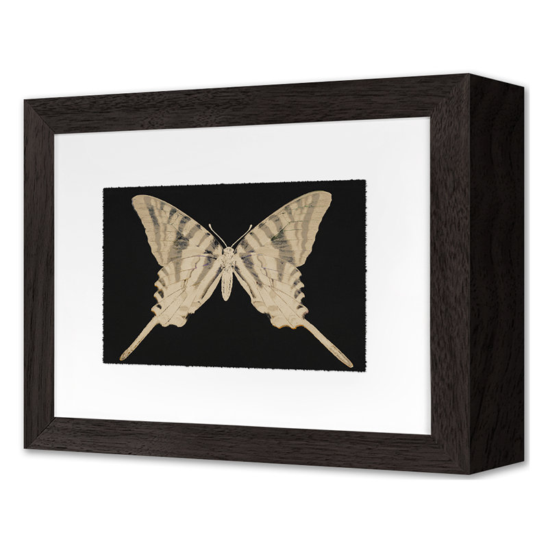 Flutter 8 Print by Todaro, Katie