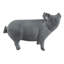 Cochon en fonte Bordovice-554137534-554137473