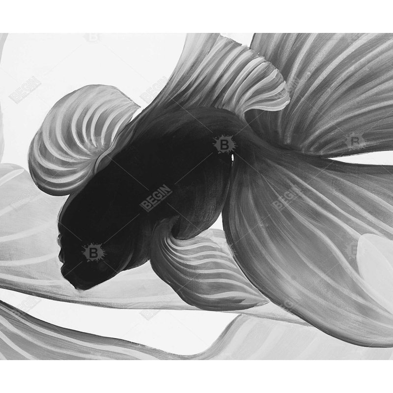 Monochrome Two Betta | Bedroom Animals Canvas for Home Decor