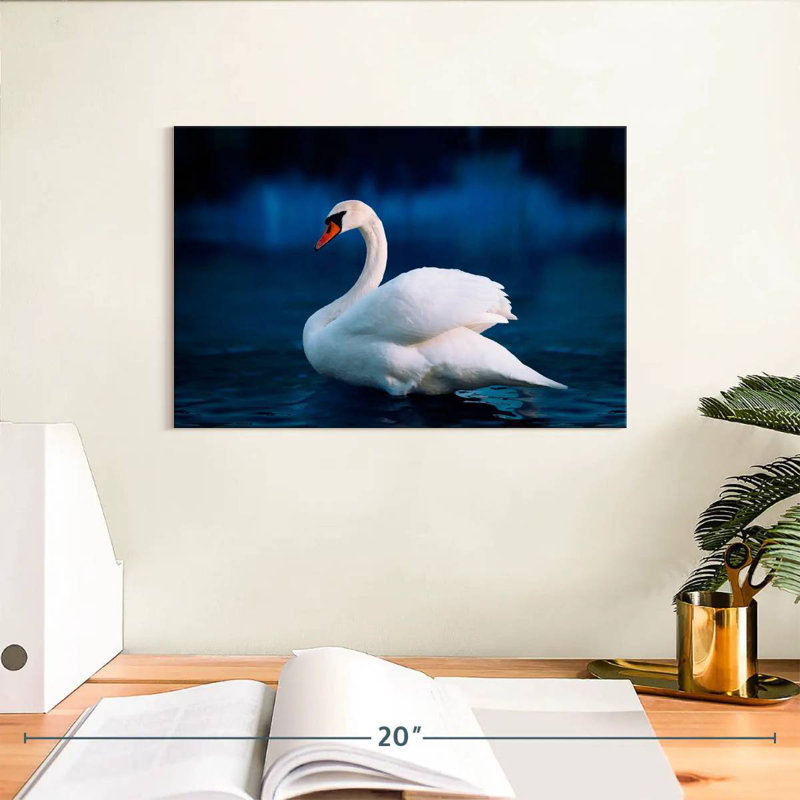 Cygne blanc pur Brampt