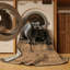  Tapis lavable Wombat-847583855