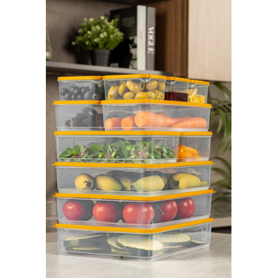 Ensemble de boîtes de rangement en plastique polyvalent (10 pièces), orange | Comprend 2 x 4,3 x 11,8 x 2,8 po (1650 ml), 2 x 9,1 x 5,9 x 2,8 po (1750 ml), 6 x 3,5 x 4,1 x 2,2 po (350 ml) | 100% lavable au lave-vaisselle, idéale pour organiser les fournitures de cuisine, de bureau et d'artisanat