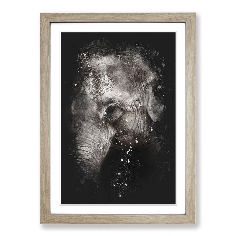 Elephant Vol.3 Paint Splash - Picture Frame Graphic Art, Oak, 65cm H x 48cm W x 2cm D