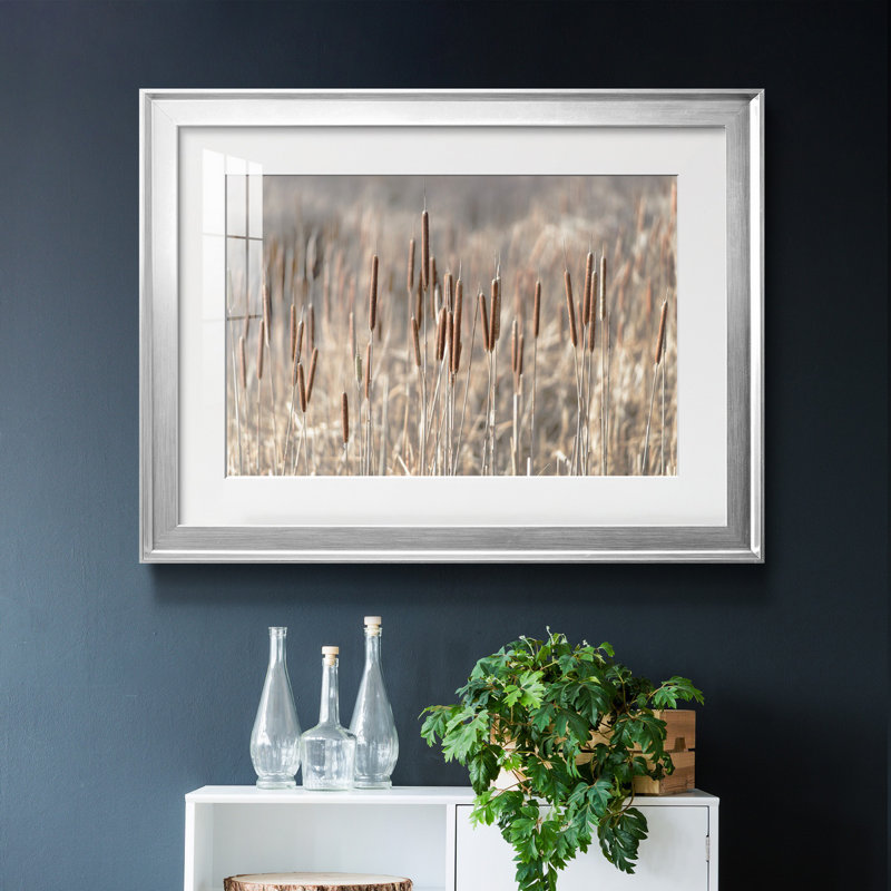 Summer Tails - Photographie avec cadre photo, H 30,5 po x l 42,5 po x P 1,5 po, Papier avec cadre argenté