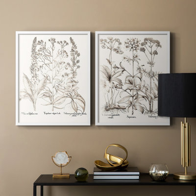Impression sépia de qualité supérieure sépia Besler Botanicals - prêt à accrocher - aucun clou requis