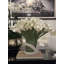 Calla Lilies In Vitra Hurricane Vase