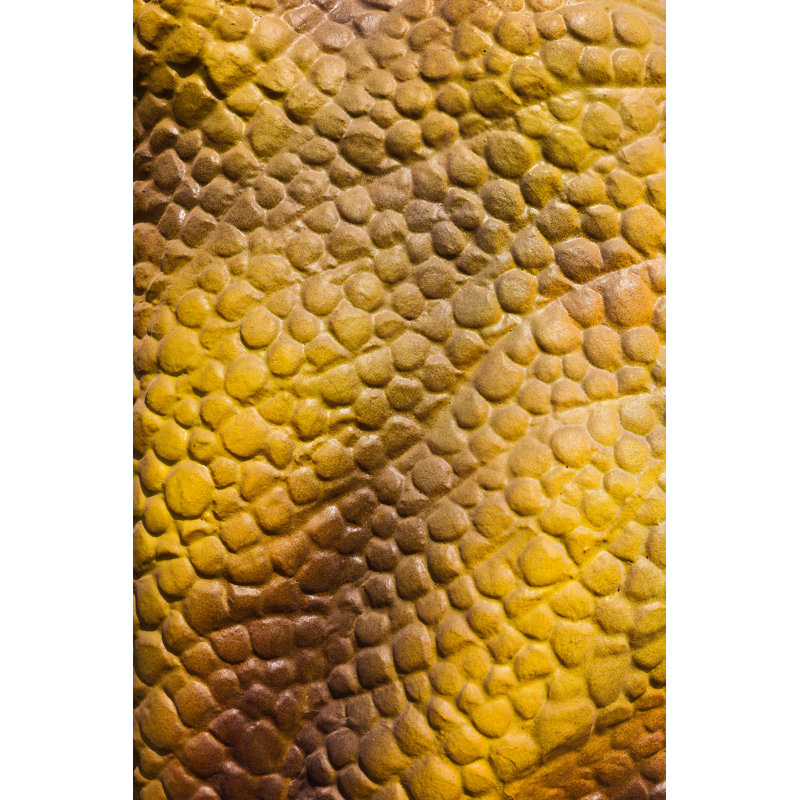 Peau de dinosaure par Feellife, H 18 po x l 12 po