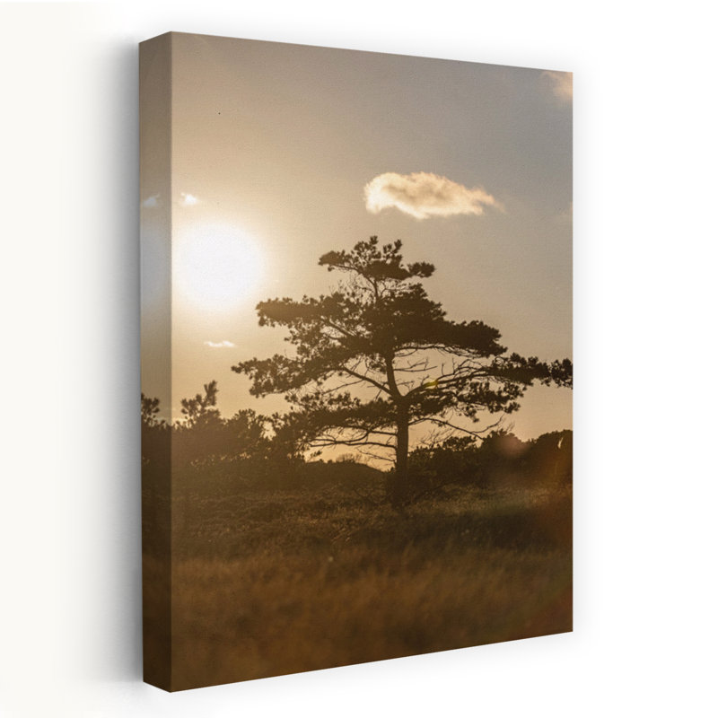 Art contemporain, paysage contemporain abstrait, art naturel, H 24 po x l 16 po