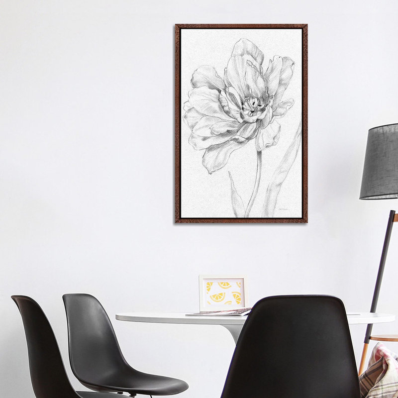 Tulip Sketch by Carol Robinson - Print on Canvas, Classic Brown Wood Framed, 101.6 cm H x 66.04 cm W