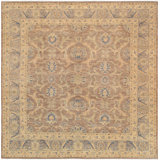 Robben Oriental Area Rug in Brown