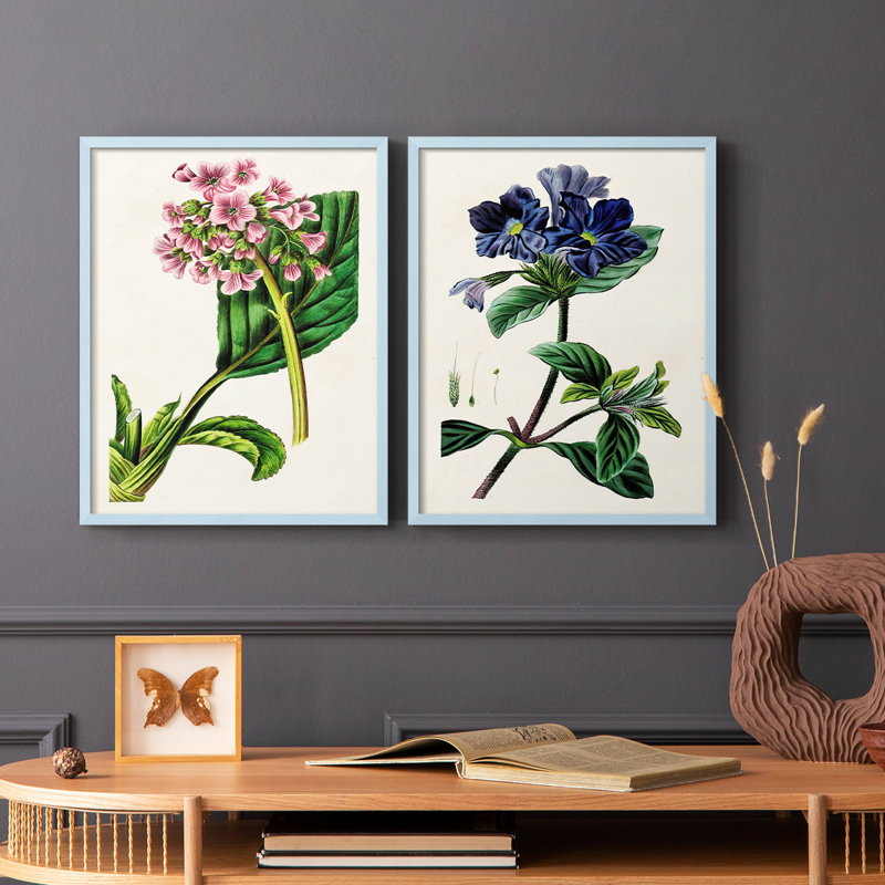 AntiqueFloralFolio III - reproduction encadrée de qualité supérieure - prête à être accrochée - aucun clou requis - aucun clou requis