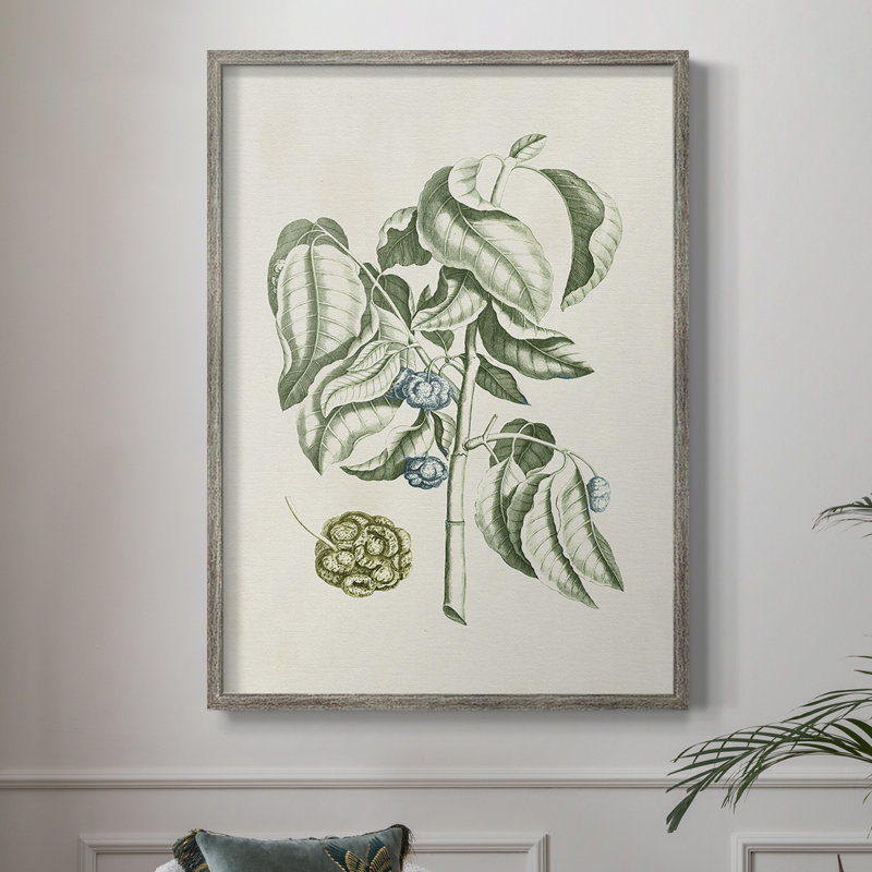 «Buchoz Tropicals V», reproduction encadrée - bois massif, H 21 po x l 17 po