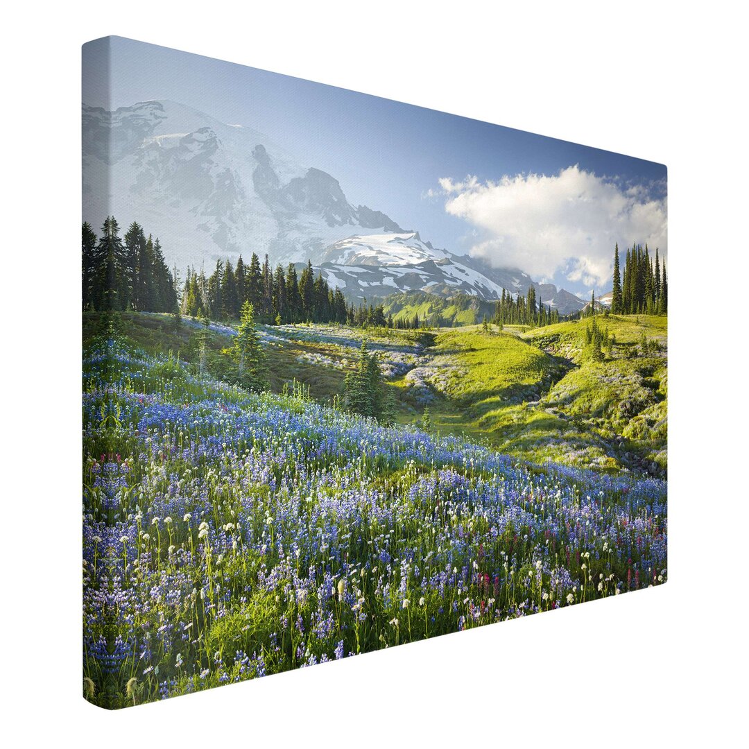 Leinwandbild Bergwiese mit Blumen vor dem Mt. Rainier