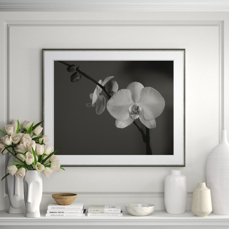 Orchid In Black & White Giclee Print