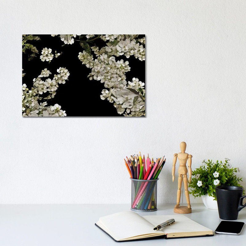 Floral 33 by Heather Offord - Wrapped Canvas Print, 20.32cm H x 30.48cm W x 1.905cm D