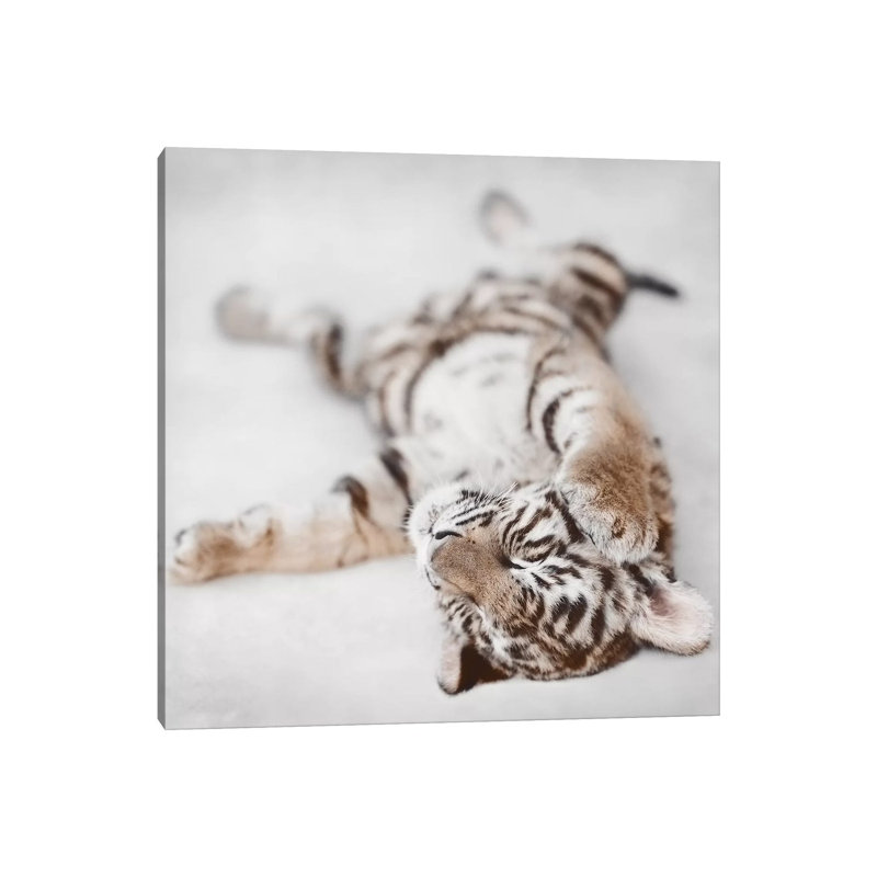 Indira II by Ashley Bradley - Print on Canvas, Wrapped Canvas, 66.04 cm H x 66.04 cm W x 3.175 cm D