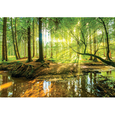 Glatte Tapete 2,54 m x 368 cm