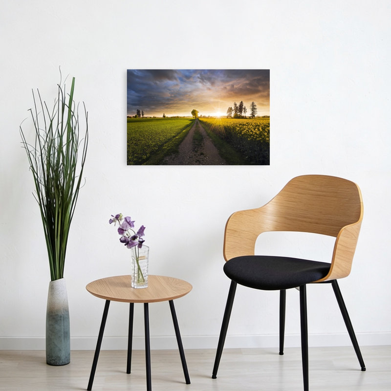 «Summer Meadow Abstract Contemporary Landscape Plant», reproduction d'art murale, H 16 po x l 24 po