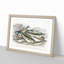 Beached Fish PL.67 1 Piece Single Picture Frame Painting-55543988-55543991
