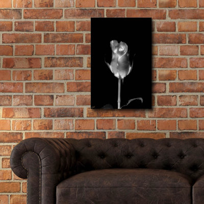 Epic Art Rose Xray 6 by Life BeautifuLEE Acrylic Glass Wall Art