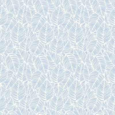Zebra Leaf - Duck Egg Blue 10m Wallpaper