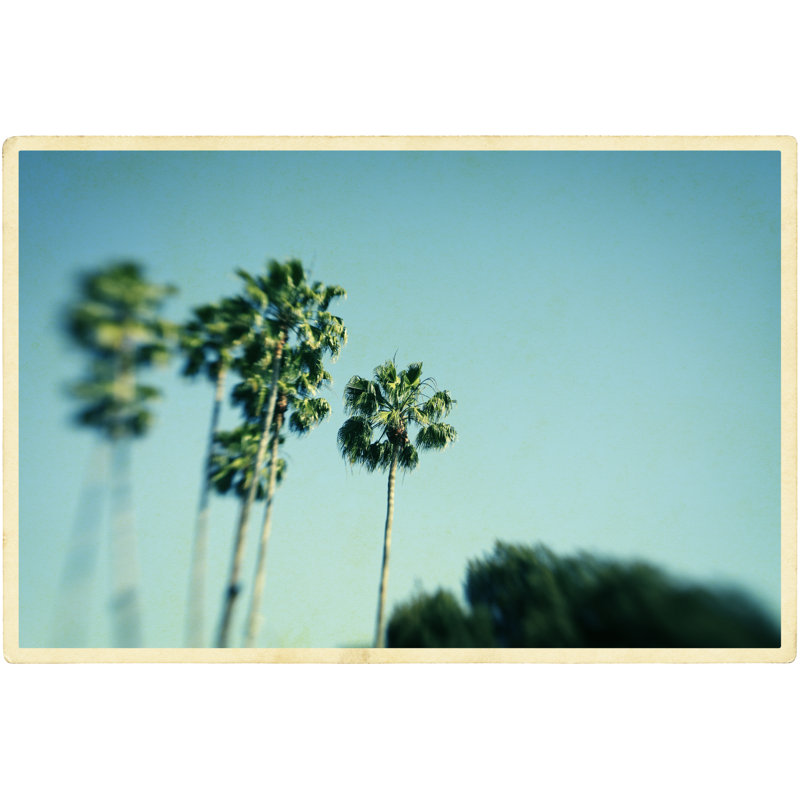 Palm tree postcard, 20cm H x 30cm W