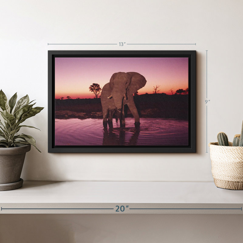 «Elephant Sunrise Bathing», reproduction sur toile, H 9 po x l 13 po