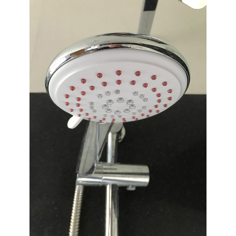 Rain Handheld Shower Head