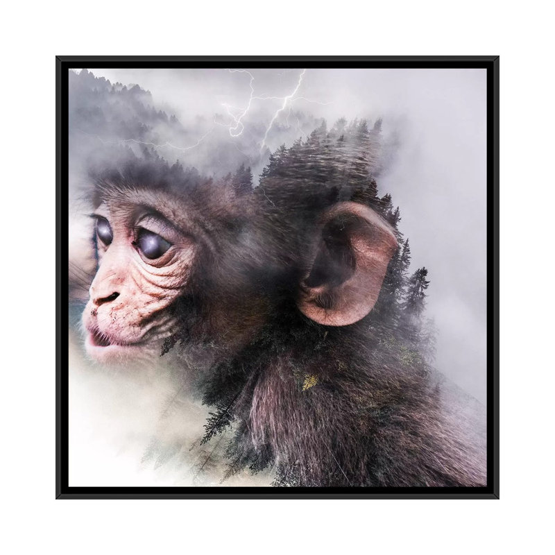 Monkey by Paul Haag - Print on Canvas, 45.72 cm H x 45.72 cm W, Black Framed