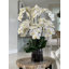Orchidée en fleurs dans un vase-68766514
