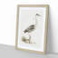 Grey Heron by Von Wright - Picture Frame Painting Print-55736266-55736268