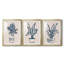 Marine Plant Sketches I - ensemble de 3 reproductions de cadres photo-69879272-69879273