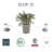 Remedios Pot Planter-1303567391