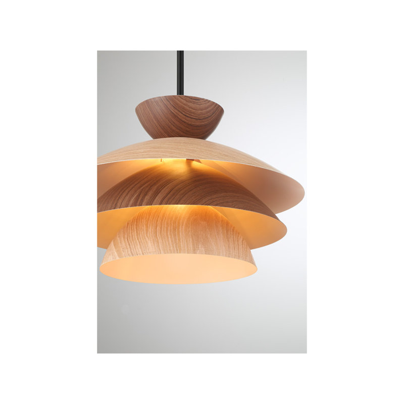 Luminaire Meromian 1 lumière Millom en noir mat
