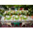 Maria Flor Charger Plate