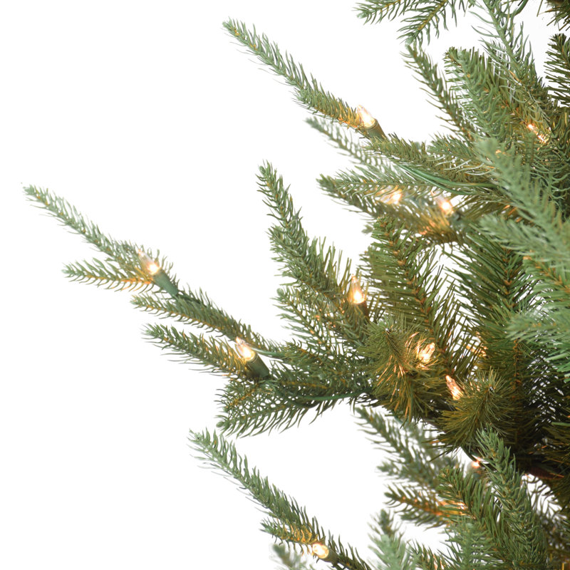 7.5' Lighted Spruce Christmas Tree