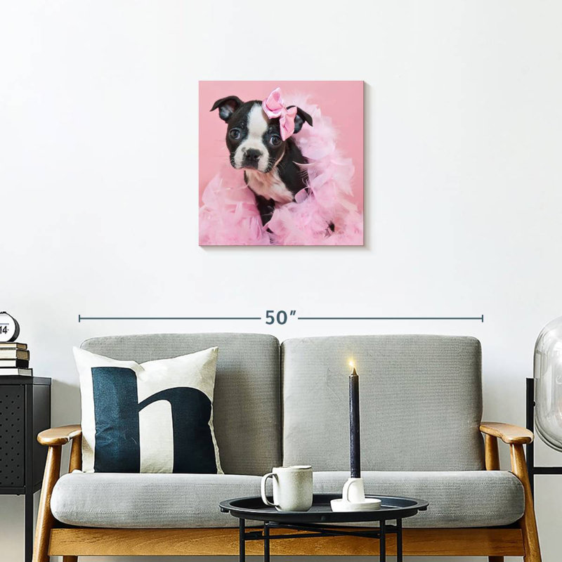 Crowle Sassy Boston Terrier, 20" H x 20" W