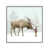 White Framed is unavailable