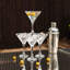 Rink Drink - Martini Cocktail Shaker - 175ml