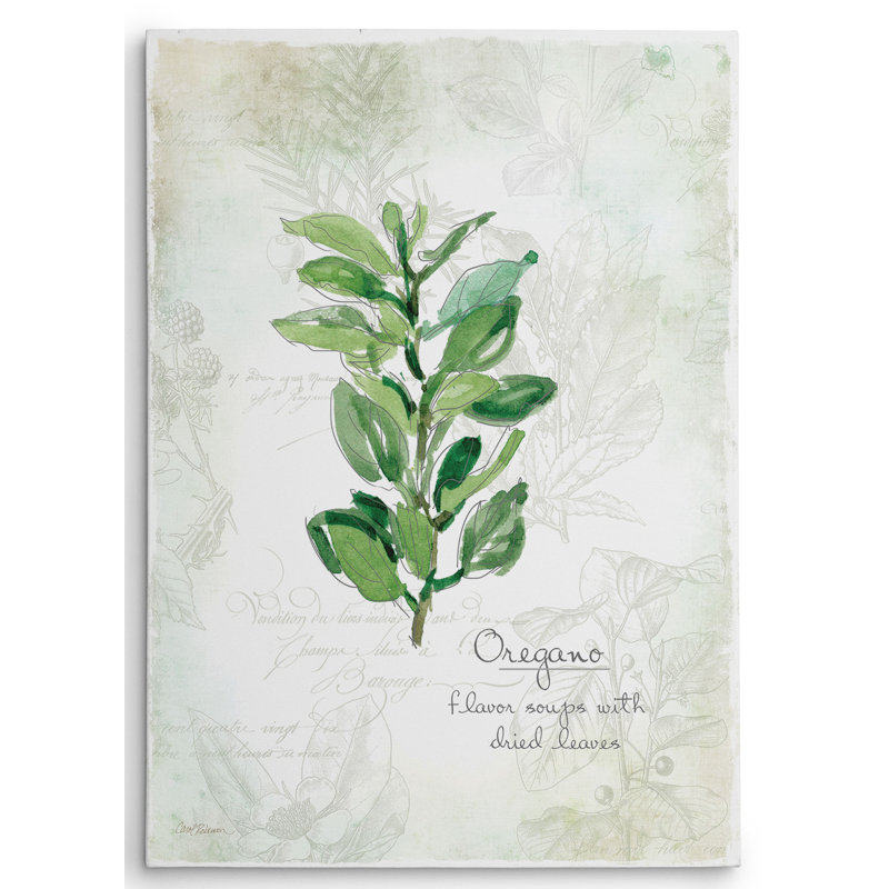 Reproduction d'art graphique sur toile Premium "Fresh Oregan" par Carol Robinson, H 16 po x l 20 po x P 1,5 po