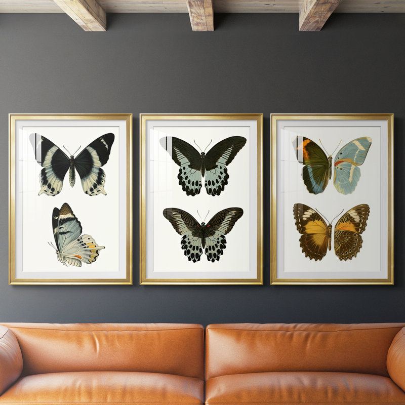 Papillons bleus antiques I - reproduction encadrée sur mesure de qualité supérieure mate - 3 pièces, H 19 po x l 27 po, Doré