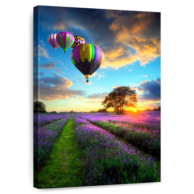 Mehar Balloons Over Lavender Field
