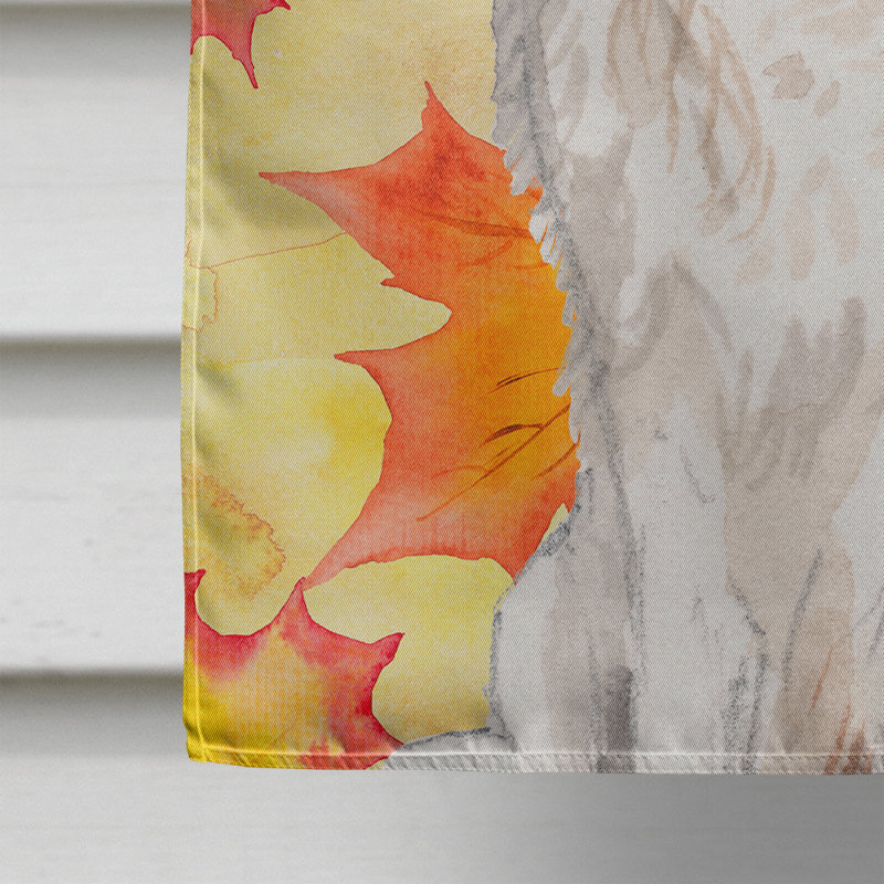 Double Sided 40'' H x 28'' W Polyester Animal House Flag, Grey/Brown Cavalier Spaniel