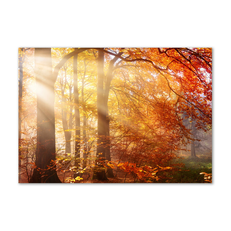 Autumnal Forest - Wrapped Canvas Print