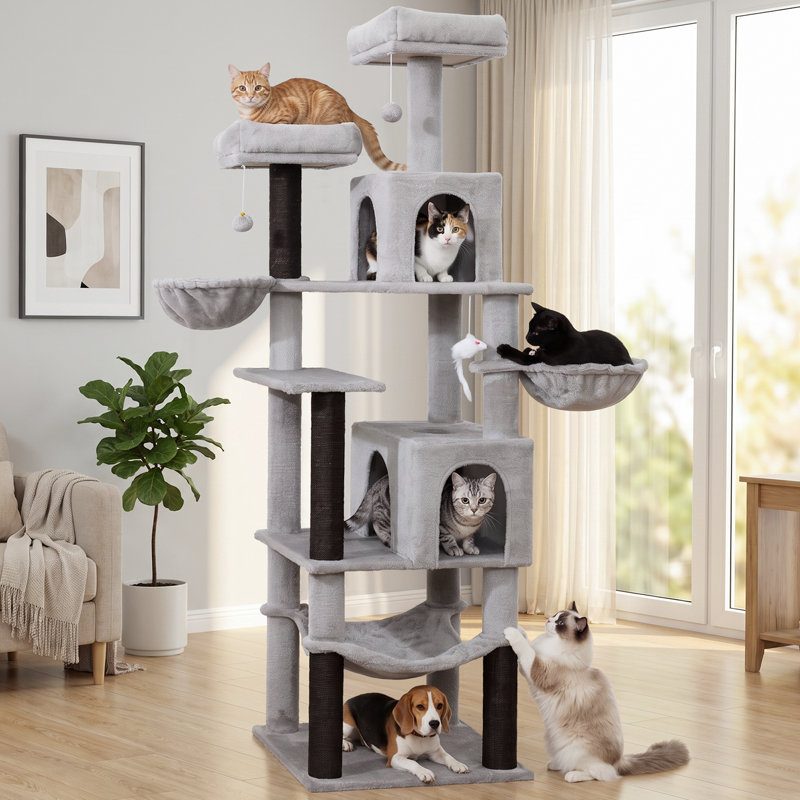 Arbre à chat, Grey+Black