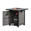 Steel Propane Smokeless